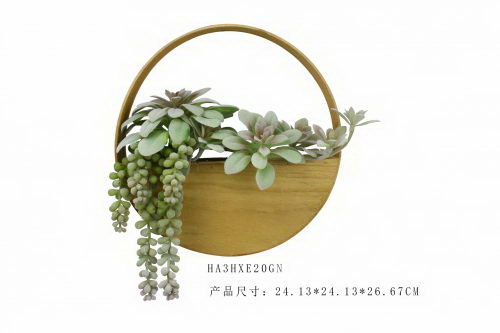 Mixed Succulent in Round Wooden Case