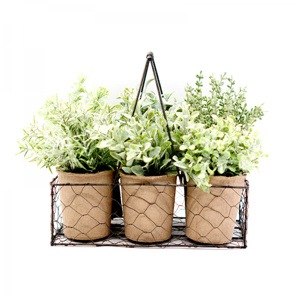 Mixed Herbs in Paper Pot with Metal Stand